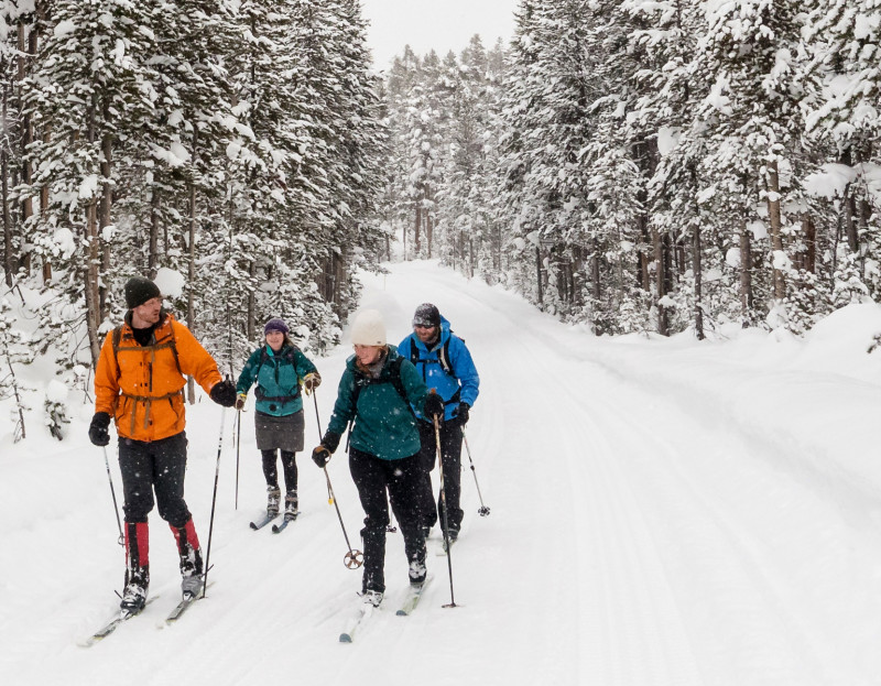 Book a Nordic Skiing Adventure