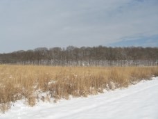 Praire as seen from cross country ski path